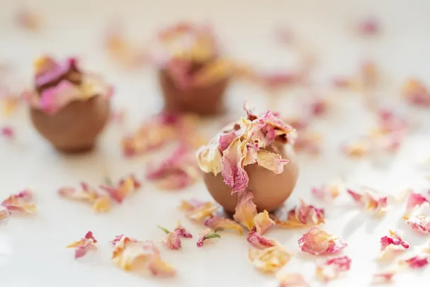 Otto Kasino Android/iOS Forrit